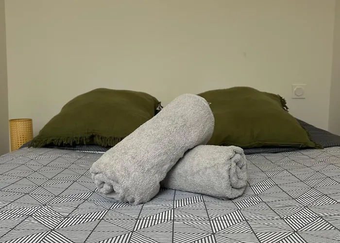 Le Toulousain 101 - Calme En Hypercentre - Quartier Jeanne D'arc تولوز